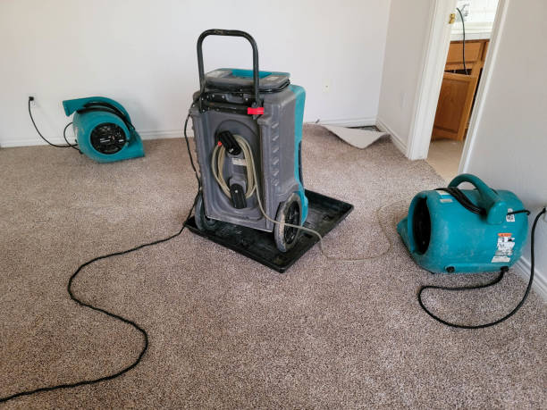 Best Water damage restoration near me  in Leisure Knoll, NJ