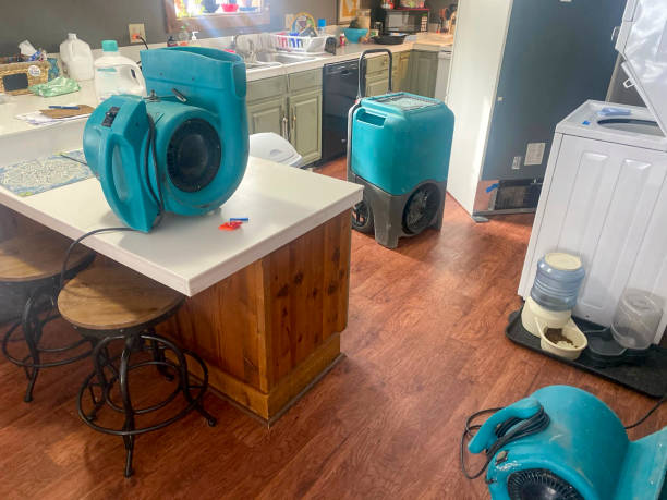 Best Flood damage cleanup  in Leisure Knoll, NJ