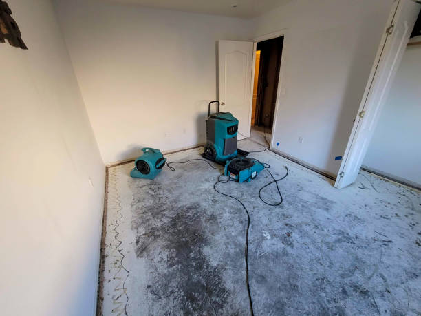 Best Commercial water damage restoration  in Leisure Knoll, NJ