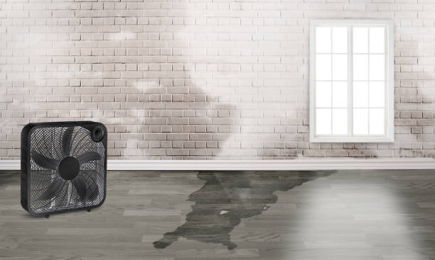 Best Fire Damage Restoration  in Leisure Knoll, NJ