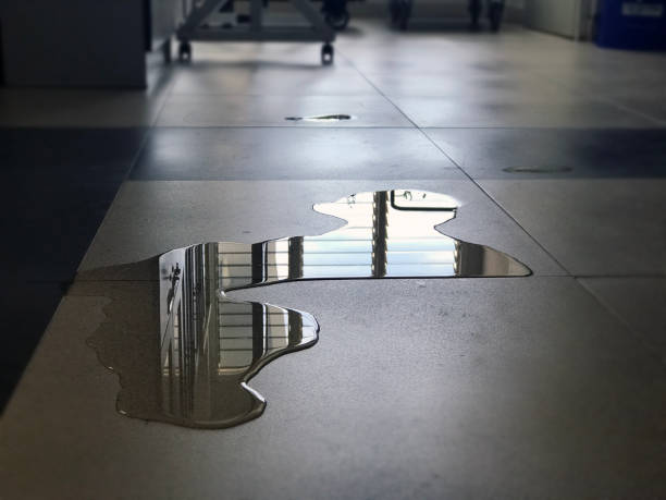 Best Water damage restoration near me  in Leisure Knoll, NJ
