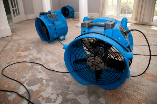 Best Sewage cleanup and water damage restoration  in Leisure Knoll, NJ