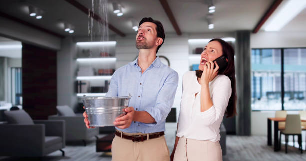Best Flooded house restoration  in Leisure Knoll, NJ