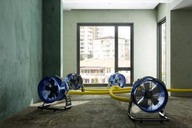 Best 24-hour water damage restoration  in Leisure Knoll, NJ