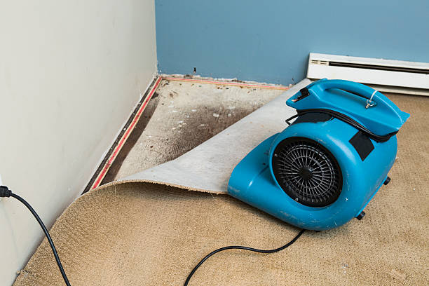 Best Water damage restoration mold remediation  in Leisure Knoll, NJ